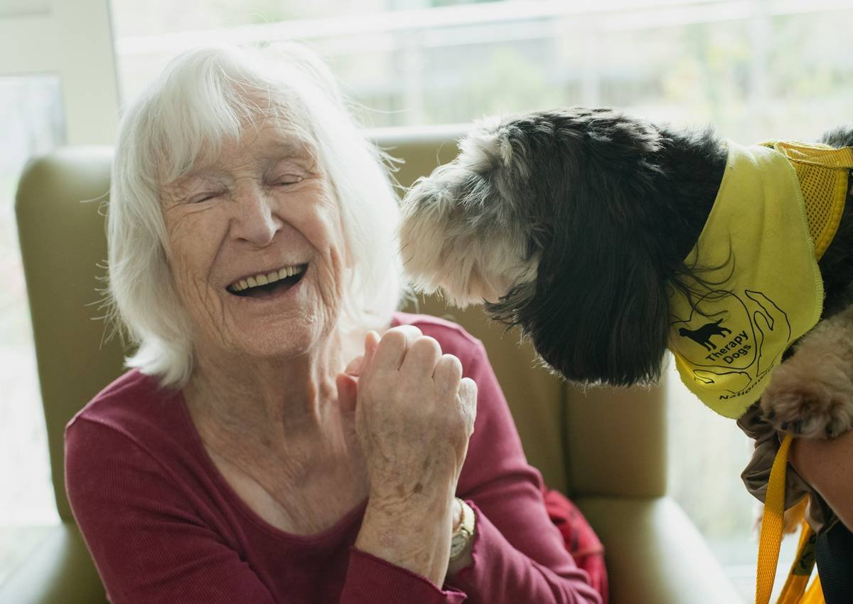 Infographic comparing rights of service animals vs. emotional support animals under ADA, FHA, and ACAA laws