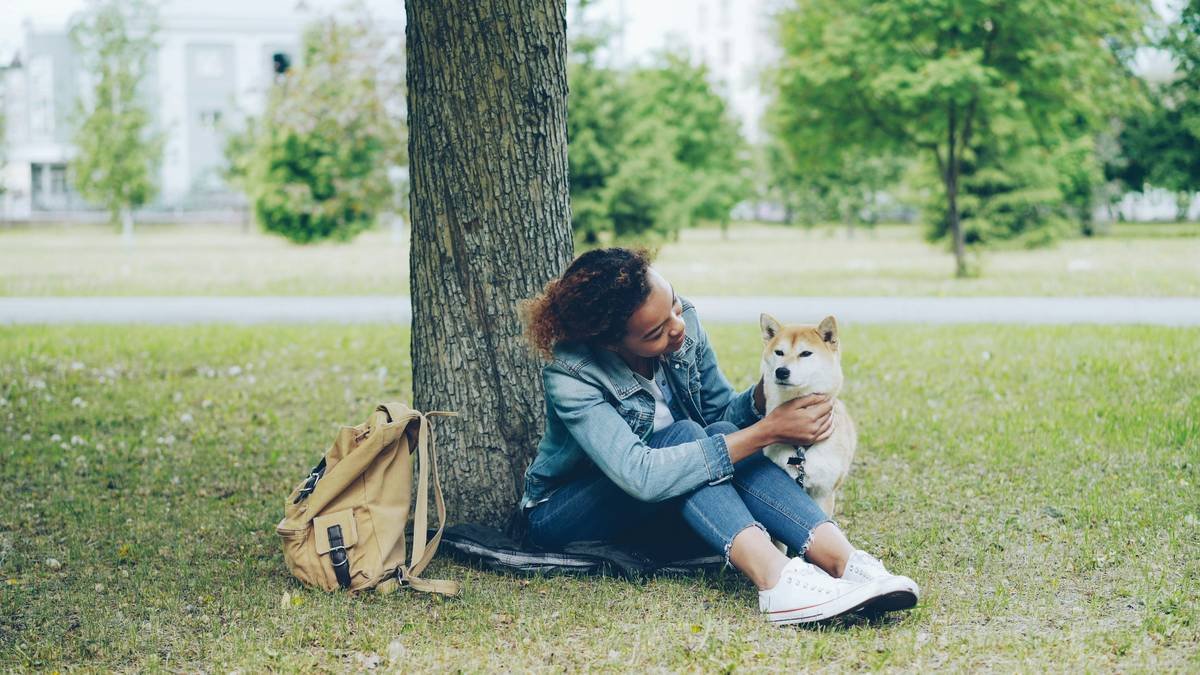 Infographic showing key differences between service animals and emotional support animals under ADA, FHA, and ACAA laws