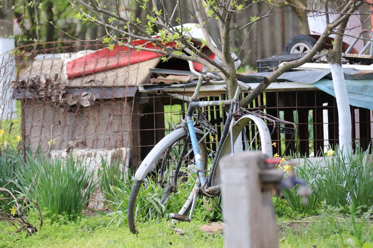 Old bicycle leaning against a weathered shed