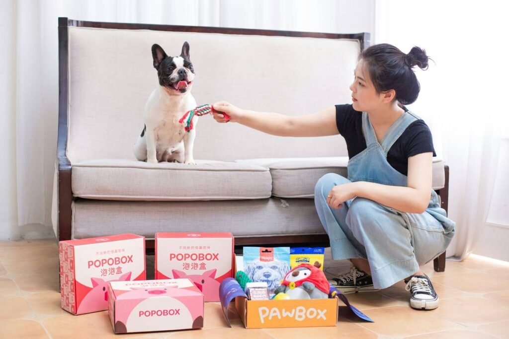 Service Animal Owner Preparation: Your Real-World Guide to Building a Lifeline, Not Just a Pet