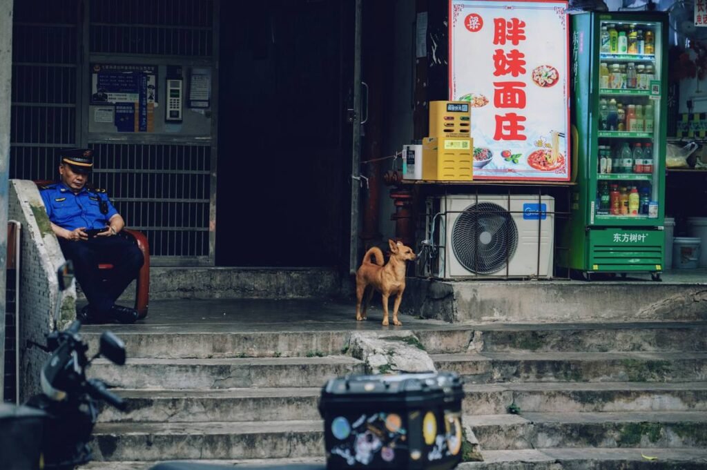 Service Dog Task Development: A Realistic, Step-by-Step Guide (From Someone Who’s Been There)