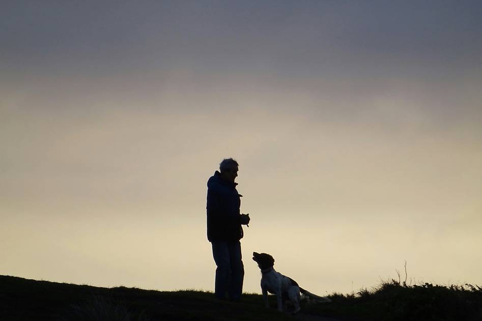 Trainer guiding a service dog through calm obedience drills