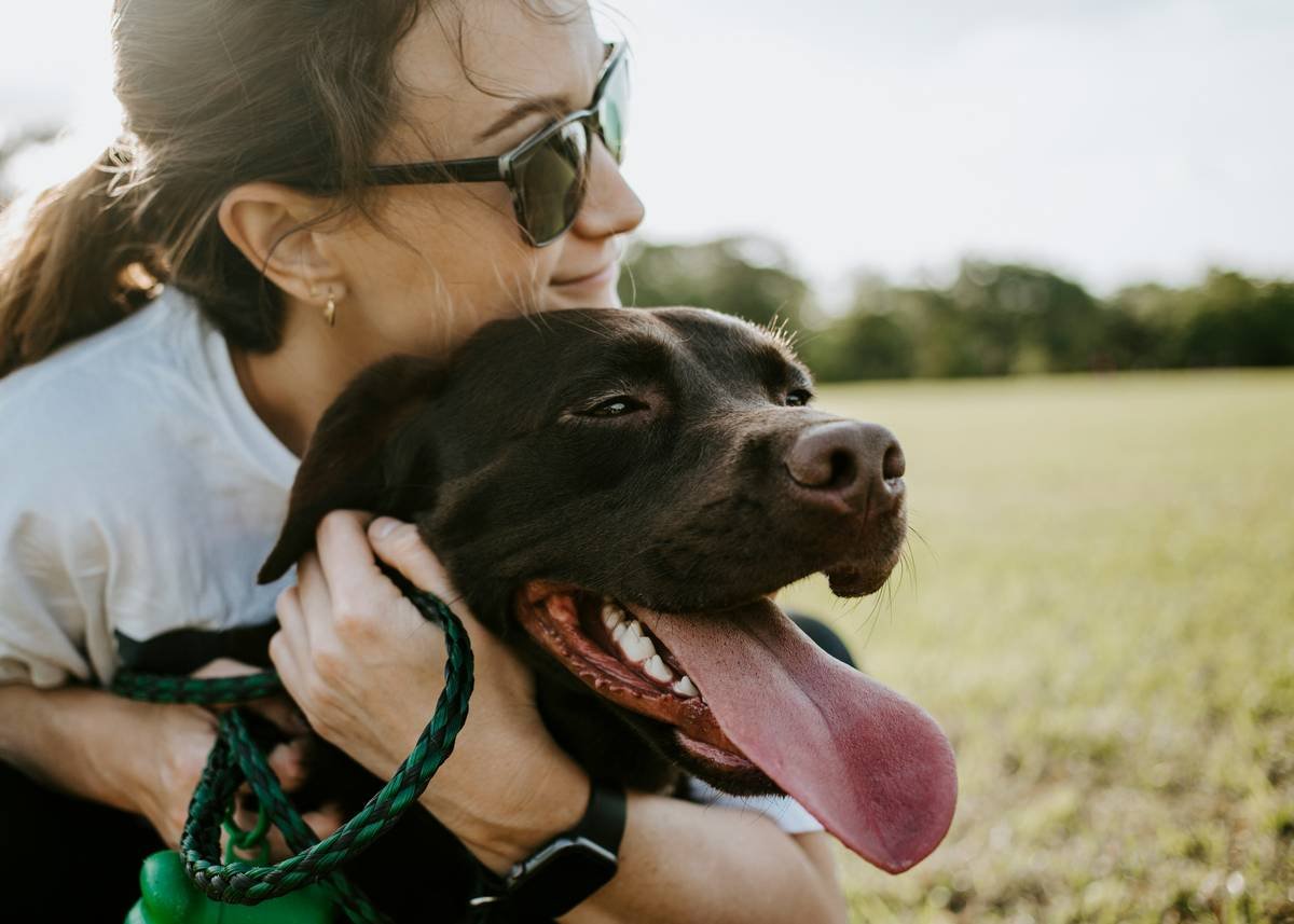 What Does the Support Animal Owner Role Really Entail? A No-BS Guide to Responsibility, Rights & Real Life