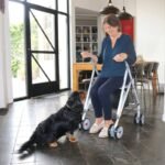 Mastering Service Dog Specialized Tasks: Precision Training Beyond Basic Obedience