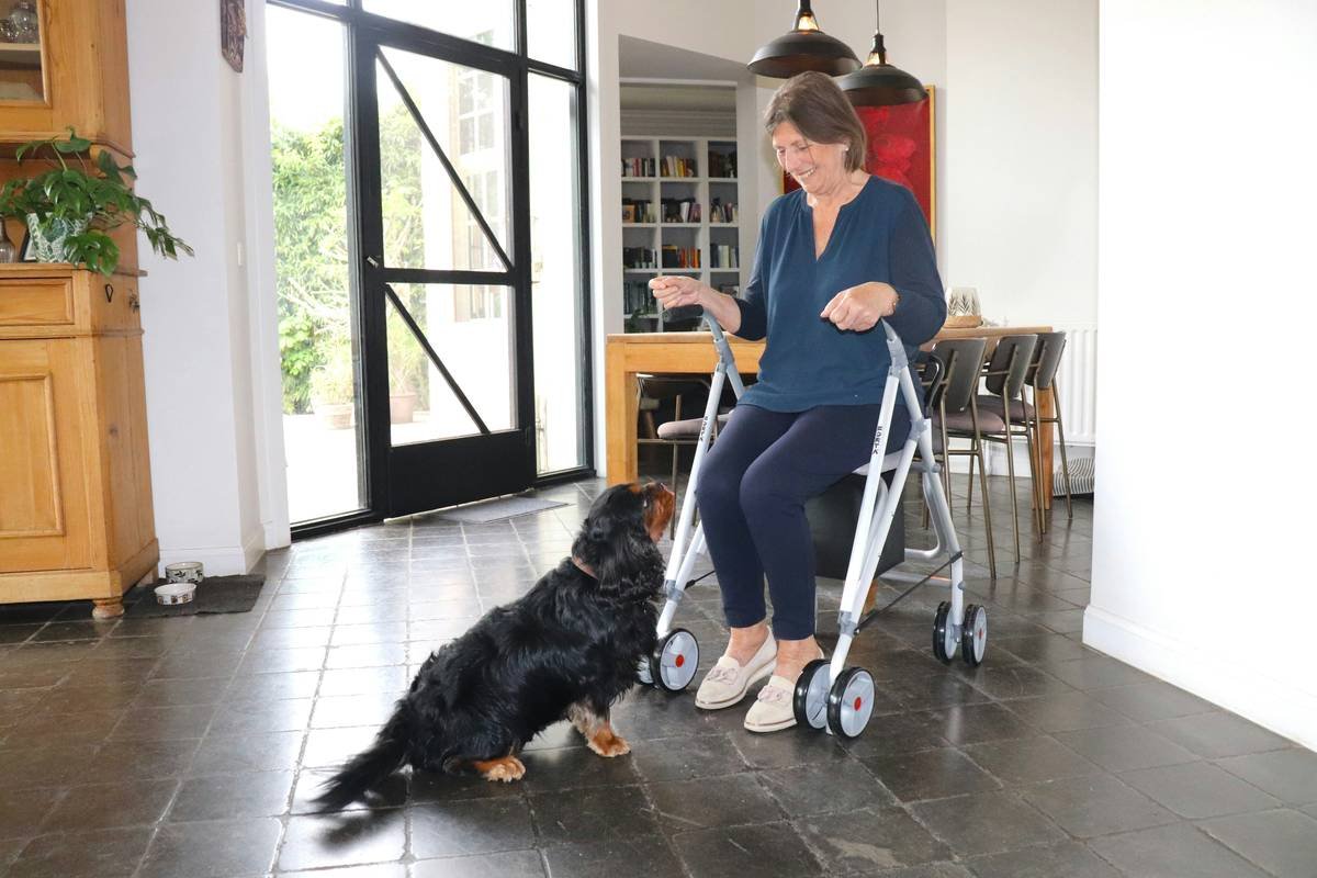 Mastering Service Dog Specialized Tasks: Precision Training Beyond Basic Obedience