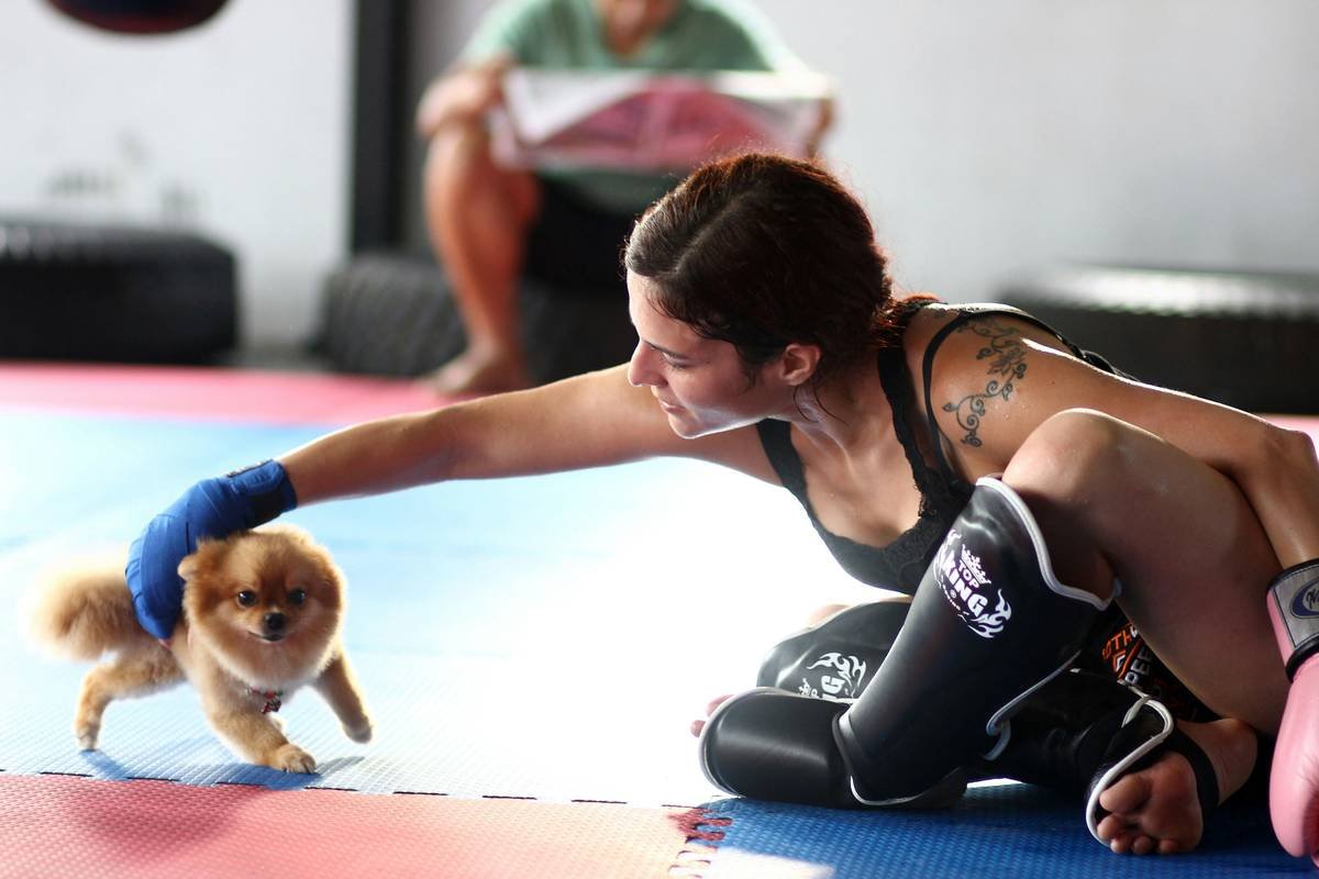 support animal owner care: what no one tells you about the real responsibilities
