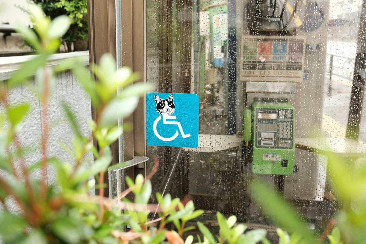 What Every Handler Must Know About Service Dog Public Access Rights (And How to Avoid Costly Mistakes)