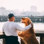 pet care owner accountability: the non-negotiable foundation of service animal success