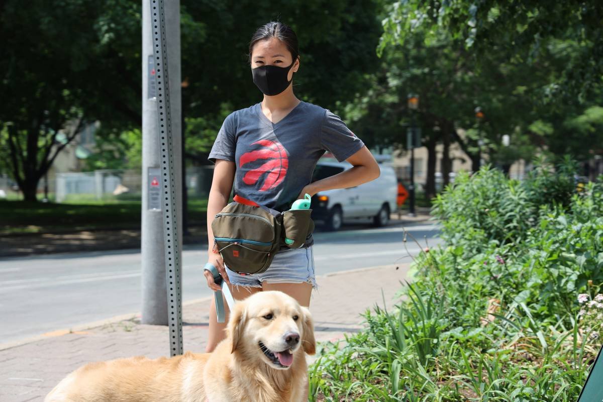 Service Dog Public Space Guidelines: 7 Proven Rules to Avoid Stressful Mistakes