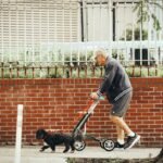 Support Animal Owner Commitment: 7 Proven Steps to Avoid Painful Mistakes