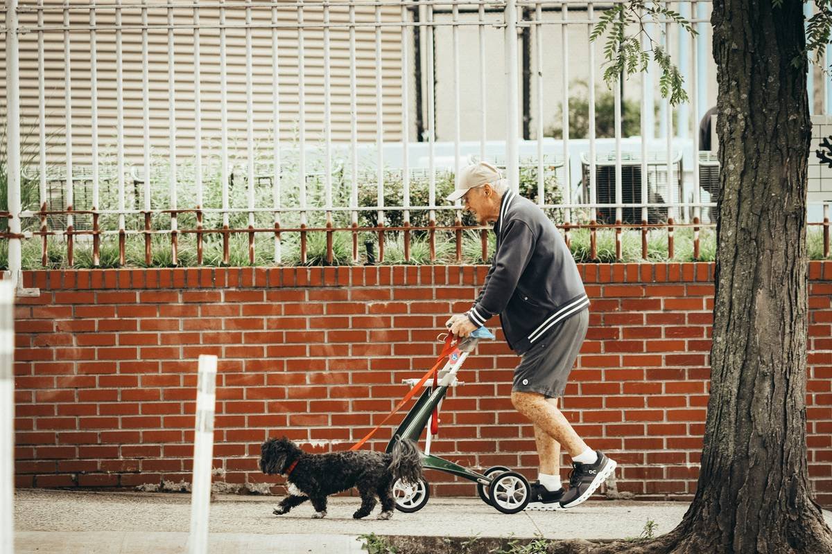 Support Animal Owner Commitment: 7 Proven Steps to Avoid Painful Mistakes